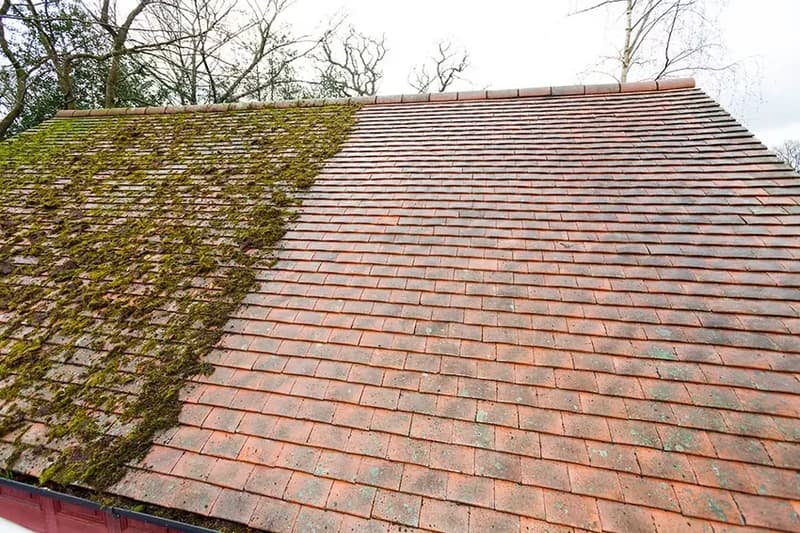 Pitched tiled roof with moss-covered tiles beside a cleared section