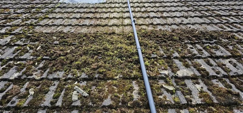 Cleaning pole resting on roof tiles covered with patches of moss